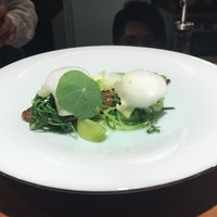 TACUBO - 