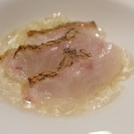 SIO syuji hijikuro - キンキ、ウドのムース、トマトのジェル