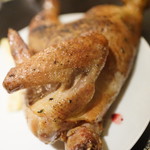 SIO syuji hijikuro - 鵡川の地鶏