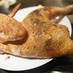 SIO syuji hijikuro - 鵡川の地鶏