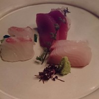 春秋ツギハギ 日比谷 - 鯛・カンパチ・マグロ
