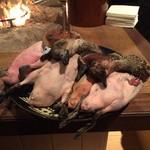 柳家 - ヒドリガモ