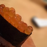 鮨処 竜敏 - いくら