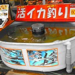 すずや食堂 - 外観
活イカ釣り