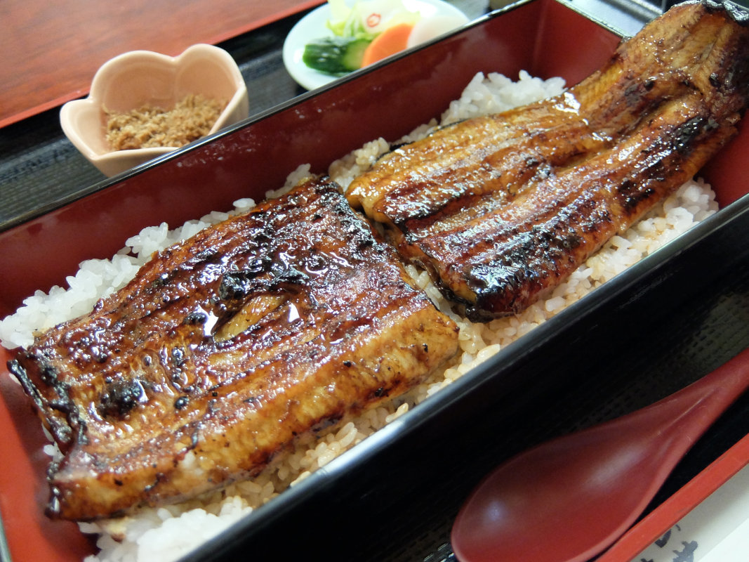 うなぎ 割烹 檜 name=
