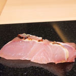 いちかわ - シマアジ