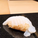 いちかわ - シロイカ