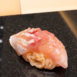 いちかわ - 黄金鯵