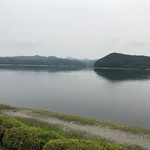 パイナップル - 癒しの風景❗️