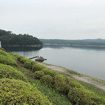 パイナップル - 深呼吸❗️