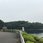 パイナップル - 直ぐそこは博物館明治村だでよ〜♫❗️