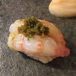 鮨 猪股 - ⑩オニエビ（イバラモエビ・北海道）