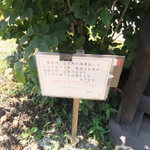 クイ クッチーナ イタリアーナ - 予約で満席です。平日でも予約必須