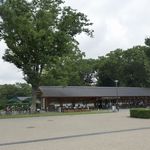 スターバックスコーヒー - たまに行くならこんな店は、上野恩賜公園内で気分良くカフェタイムが楽しめる、「スターバックスコーヒー 上野恩賜公園店」です。