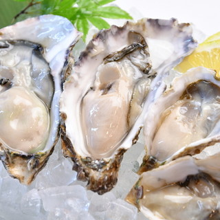 Providing Oyster cultivated in the raw eating area of the Seto Inland Sea