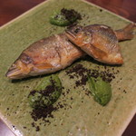 セルサルサーレ - 鮎のコンフィ グリーン・オリーブと春菊のディップ ブラック・オリーブのパウダー1