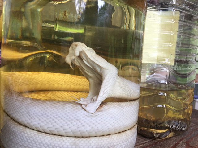 芳賀商店（ハガショウテン） - 塔のへつり（麺類）の写真