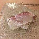 うを徳 - 明石 鯛 湯引き