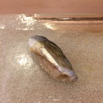 うを徳 - 天草 小肌（握り）