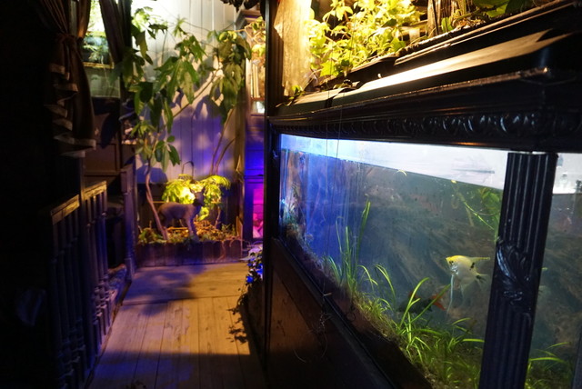 高円寺 エセルの中庭 女子にオススメ 絵本の世界に迷い混んだような素敵空間 By まりあてぃーたいむ エセルの中庭 高円寺 カフェ 食べログ