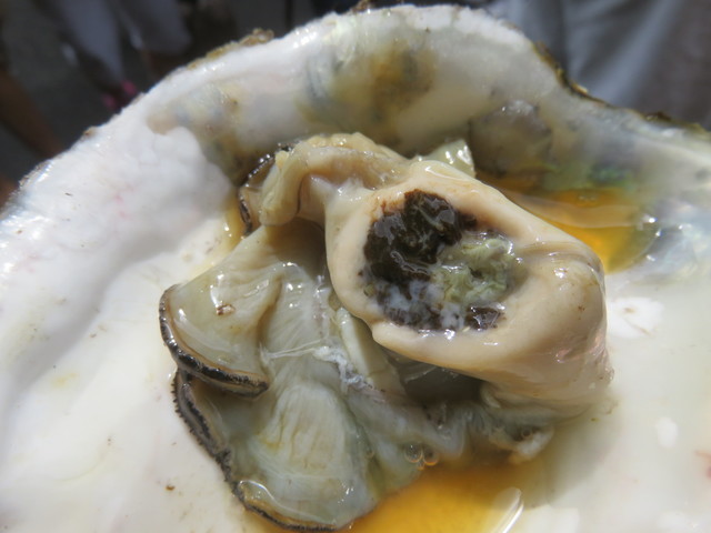 隠岐産の生牡蠣を堪能 By よっしー 築地 斉藤水産 築地市場 その他 食べログ