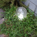 mondo - 道路際にある唯一の目印