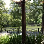 木茶房 - 窓際の席から池が見えます。