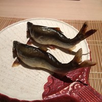 祇園 にしかわ - 