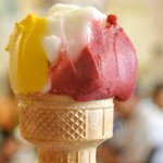 Vega Maria Soledad - 