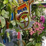 Vega Maria Soledad - 