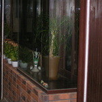 ウェイク カフェ - 