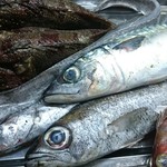 海鮮料理 食彩 太信 - 