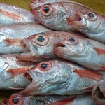 海鮮料理 食彩 太信 - 