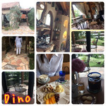 Cafe Dino - 