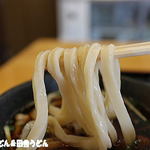 こんこ屋 - 硬めのうどん