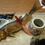 尾頭橋すみや - 郡上吉田川の鮎