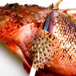 Scorpionfish, which has many thorns and is difficult to handle, can also be eaten as sashimi at a reasonable price.