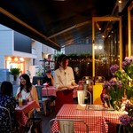 表参道 バッカス