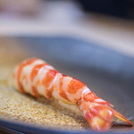 三笠鮨 - 大車鰕（おほくるまえび）