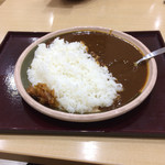 みちのレストラン四六時中 - テテはライス左派です(≧◡≦)
            みちのくカレー¥500