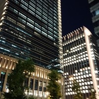 檪 - 