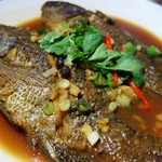 520歌友會 - 料理写真: