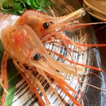 がおー！がおー！