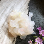 こいで - 白イビ