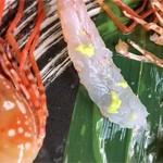 こいで - スケスケ