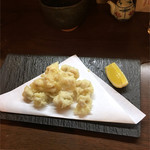 こいで - しらこ可愛いよしらこ。#しらこは俺の嫁。　しらこ大好きだ！