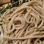 六嵐 - 蕎麦のアップ