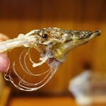 活鰻の店 つぐみ庵 - うなぎの頭・肉をこそぎ落とすと