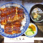 うなみ - 上鰻丼