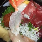 東信水産 - シラスがポイント